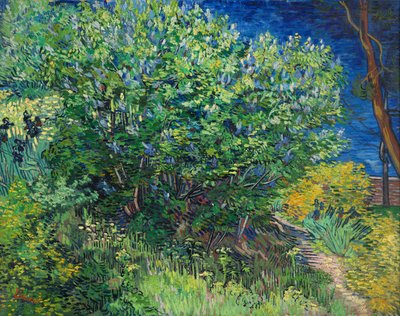 Syrener af Vincent van Gogh