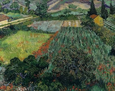 Mohnfeld. 1889 af Vincent van Gogh