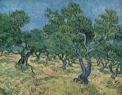 Olivenlunden af Vincent van Gogh