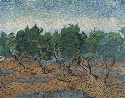 Olivenlund af Vincent van Gogh