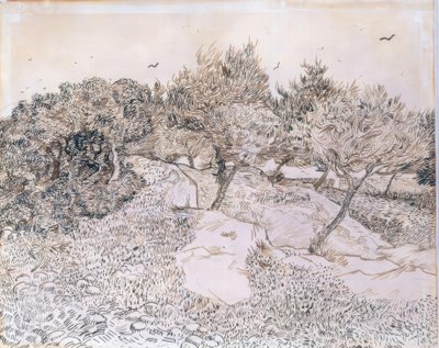 Oliventræer i Montmajour af Vincent van Gogh