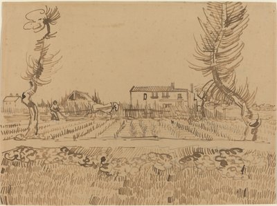 Plovmand i markerne nær Arles, 1888. af Vincent van Gogh