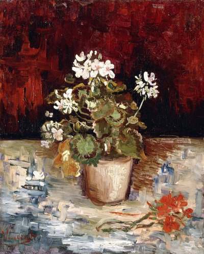 Stilleben Pot of Pelargonier, 1886 af Vincent van Gogh