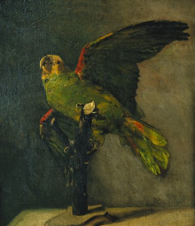 Den grønne papegøje; Le Perroquet Vert, 1885 af Vincent van Gogh