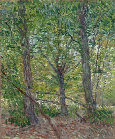  af Vincent van Gogh