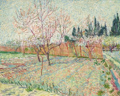 Frugthave med cypresser af Vincent van Gogh