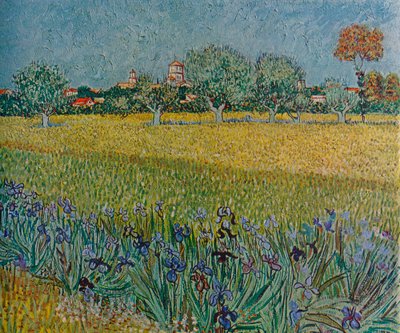 Udsigt over Ales med iris i blomst, 1888 af Vincent van Gogh