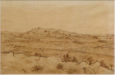 Udsigt over Crau af Vincent van Gogh