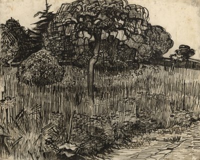 Grædende træ, 1889 af Vincent van Gogh