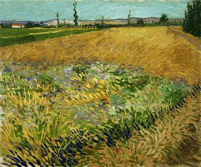 Hvedemark af Vincent van Gogh