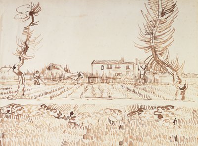 Arbejde på markerne i Arles; Plovmand i markerne i Arles, 1888 af Vincent van Gogh
