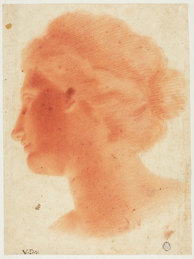 Hoved af Venus de Medici af Vincenzo Dandini