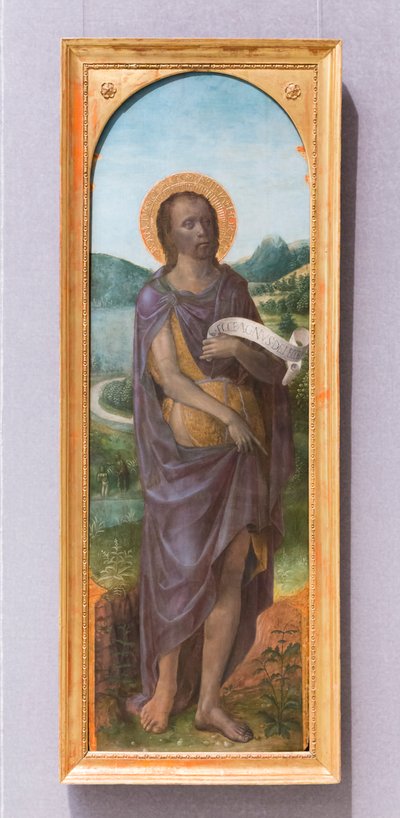 Den hellige Johannes Døberen af Vincenzo Foppa