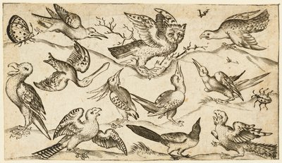 Elleve fugle og to insekter på minimal jord med ugle med udstrakte vinger..., 1572. af Virgil Solis