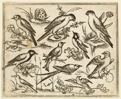 Elleve fugle sidder på pletter af blomstrende løv og små grene..., 1557. af Virgil Solis