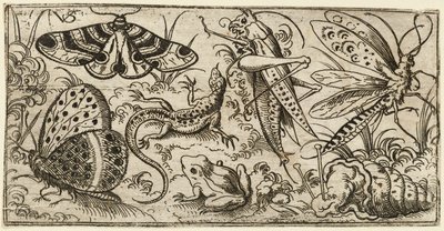 Gruppe af insekter og dyr på en almindelig grund med græs..., 1530 - 1562. af Virgil Solis