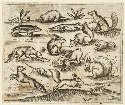 Gruppe af små skovdyr, der spiser og løber rundt om en dam, inklusive en mus..., 1557. af Virgil Solis