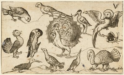 Påfugl i midten omgivet af ni andre fugle, inklusive en kalkun og en sommerfugl..., 1572. af Virgil Solis