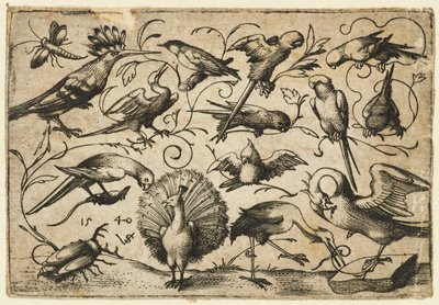 Ti fugle på små løvranker med en stork, der binder en ranke om en pelikans ben..., 1540. af Virgil Solis