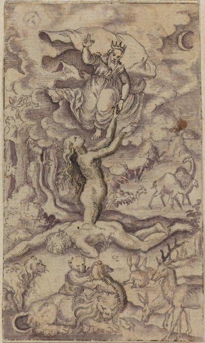 Evas skabelse af Virgil Solis