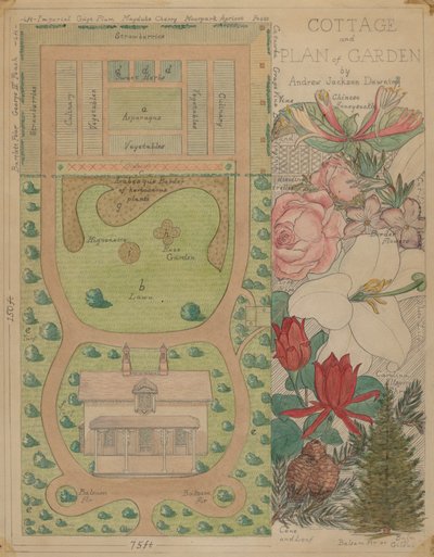 Grundplan for sommerhus, ca. 1936. af Virginia Richards