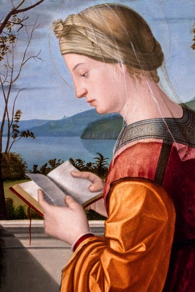 Jomfruen læser, ca. 1505-1510 (olie på træ) af Vittore Carpaccio