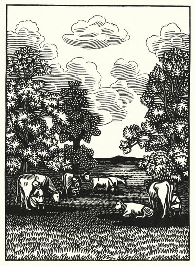 Illustration til Tess Of The D