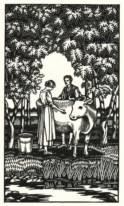 Illustration til Tess Of The D