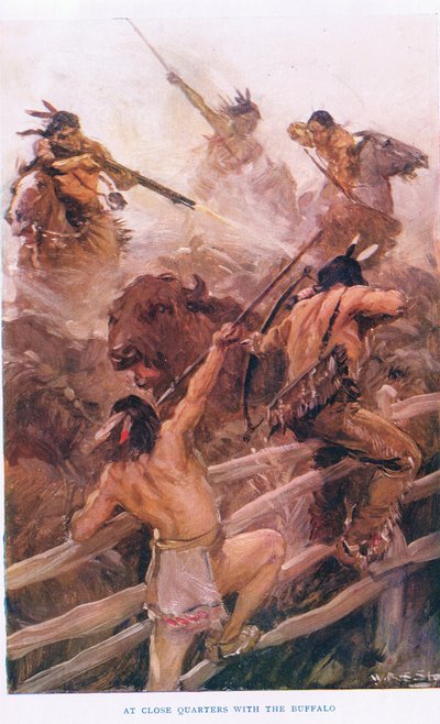At Close Quarters with the Buffalo, illustration fra 