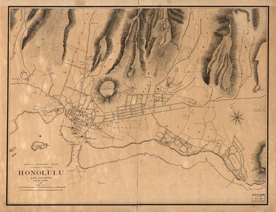 Honolulu og omegn af W. A.; Alexander Wall
