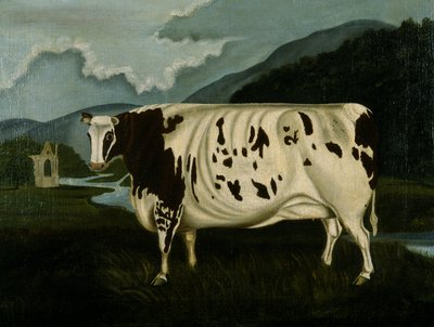 The Famous Craven Heifer (olie på lærred) af W. D. Fryer