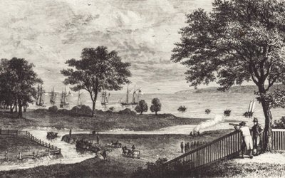 Bøffel (litografi) af John Ward Dunsmore