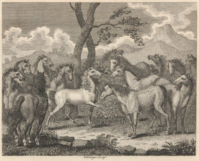 Hesterådet af W. Grainger