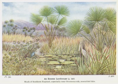 Et eocænt landskab (farve litho) af W. J. Stokoe