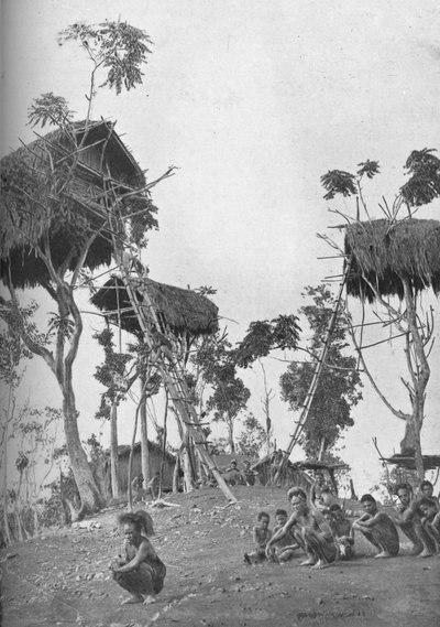 Dobos, træhuse for ugifte kvinder i Melanesia, 1902 af W. Lindt