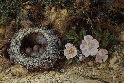 Fuglerede og briar roser af W. M. Arundale