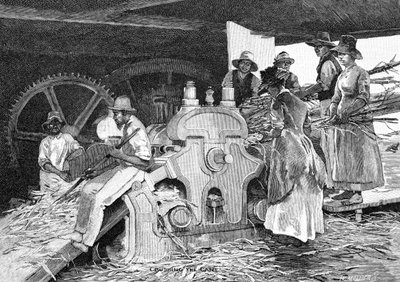 Crushing the Cane, 1886. af W. Mollier