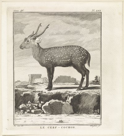 Hert Le Cerf-Cochon (titel på objekt) af W. Tringham
