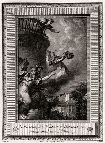 Perdix, Daedalus