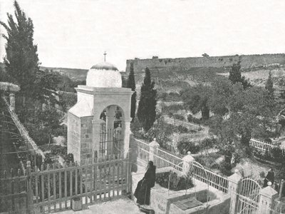 Getsemane Have, Jerusalem, Palæstina, 1895. af W and S Ltd