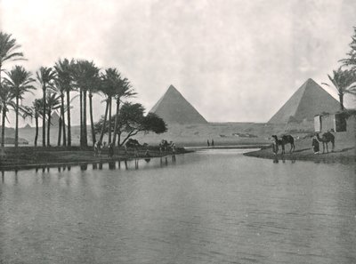 Pyramiderne og Nilen, Gizeh, Egypten, 1895. af W and S Ltd