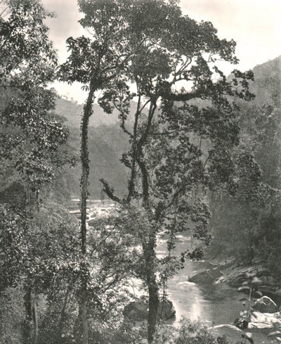 Udsigt over Kelani-floden, Kurunegala, Ceylon, 1895. af W and S Ltd