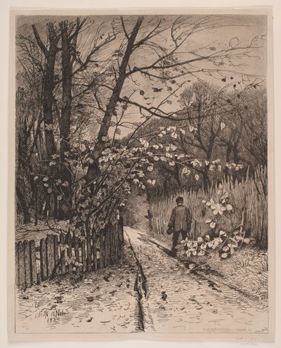 november af Waldemar Bøhme
