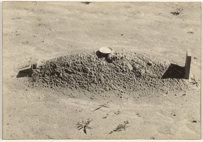 En baptistgrav, Hale County, Alabama af Walker Evans