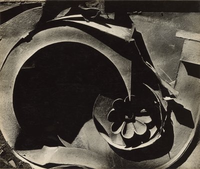 Relikvie af tin af Walker Evans
