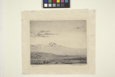 Mojave-ørkenen af Wallace Leroy DeWolf