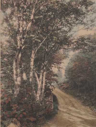 Westmore Drive af Wallace Nutting