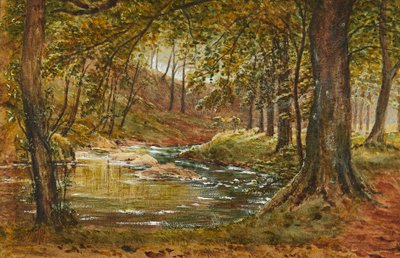 A Forest Glade (akvarel) af Waller Hugh Paton