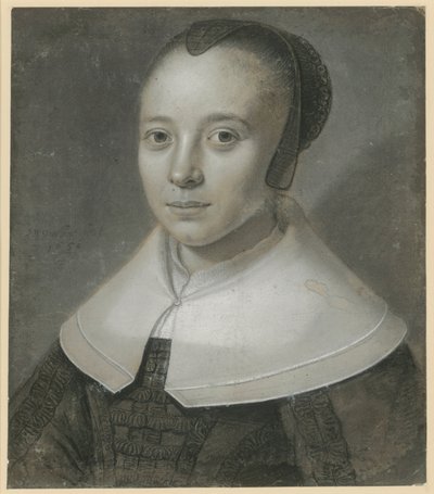  af Wallerant Vaillant