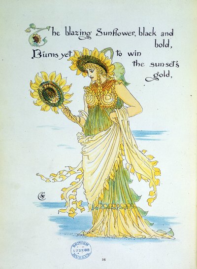 Solsikkeblomsten (solen) personificerer i en ung kvinde klædt i gult og grønt. Tavle 36 fra ""Flora